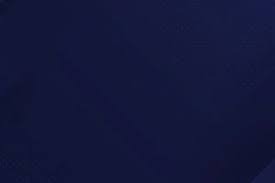 亚洲羽球锦标赛 ｜ 谢定峰肩伤未愈 峰译或挂免战牌