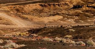 [网球]张帅晋级WTA500布里斯班站女单正赛